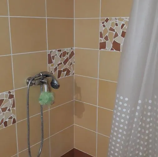 Tik Saviem * Palanga